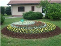 Florafest